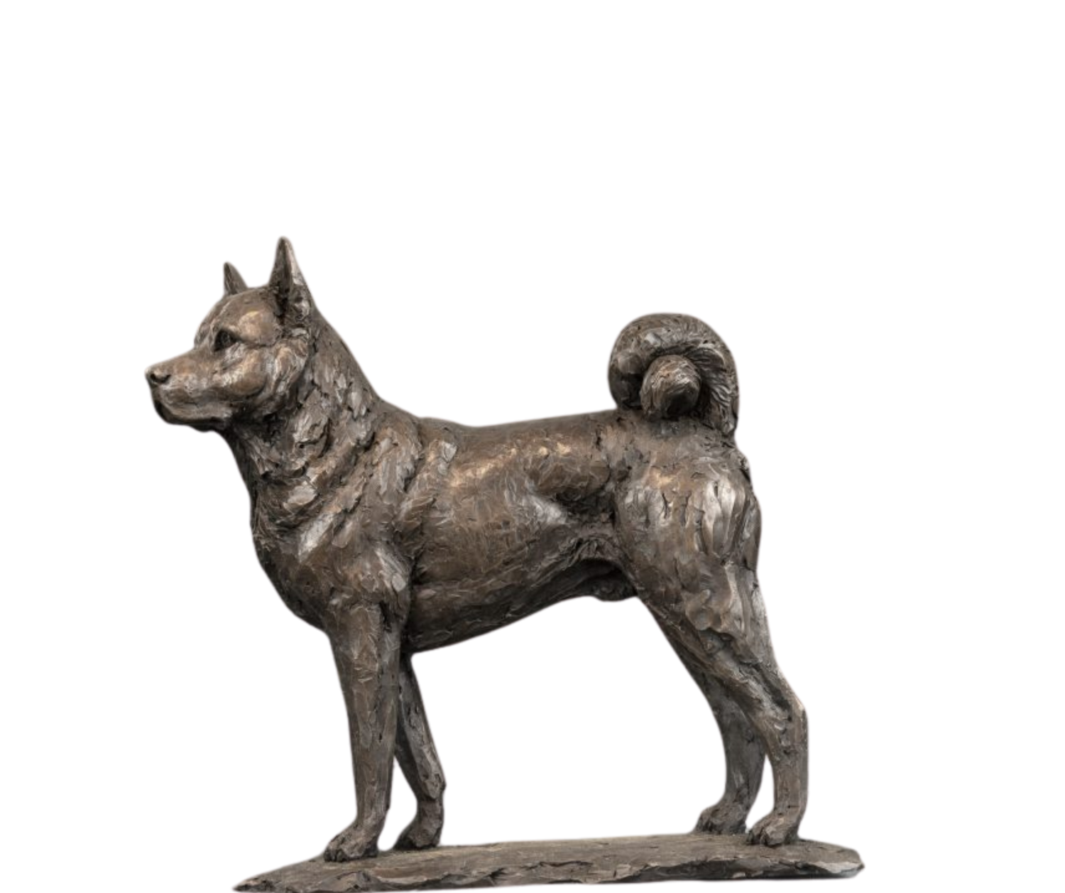 Pets - Vitalis Collection