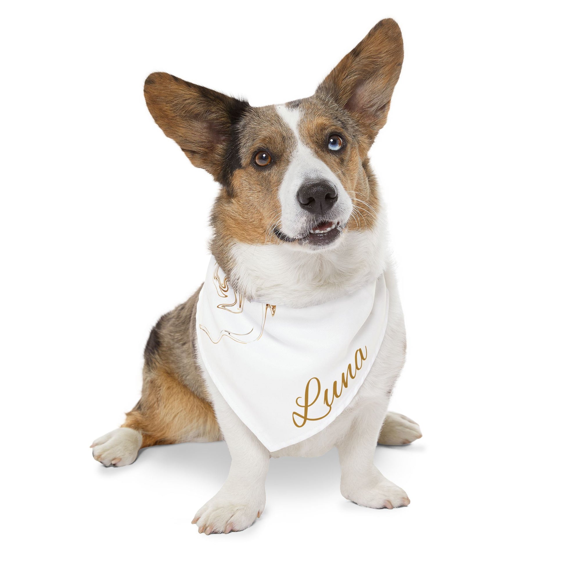 Personalized Pet Bandana Collar - Custom Name Dog Accessory for Stylish Pets - Vitalis Collection