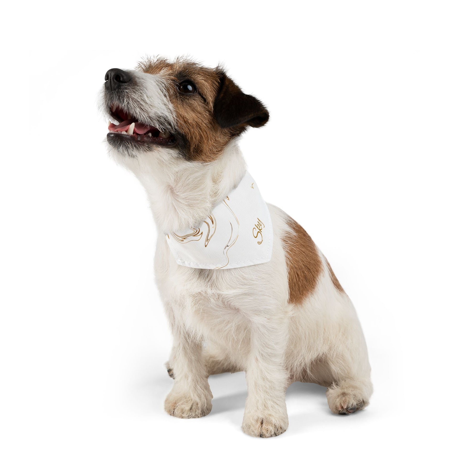 Personalized Pet Bandana Collar - Custom Name Dog Accessory for Stylish Pets - Vitalis Collection