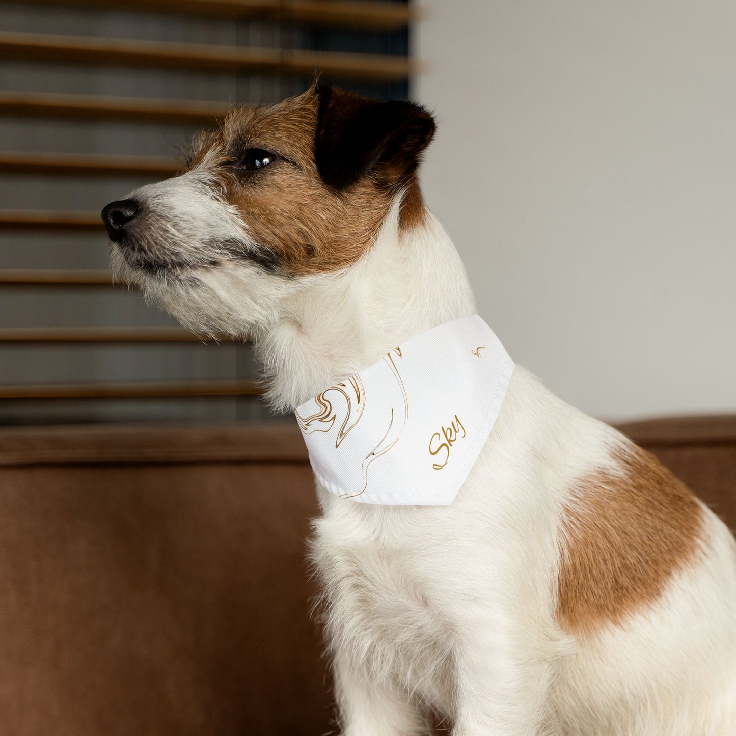 Personalized Pet Bandana Collar - Custom Name Dog Accessory for Stylish Pets - Vitalis Collection