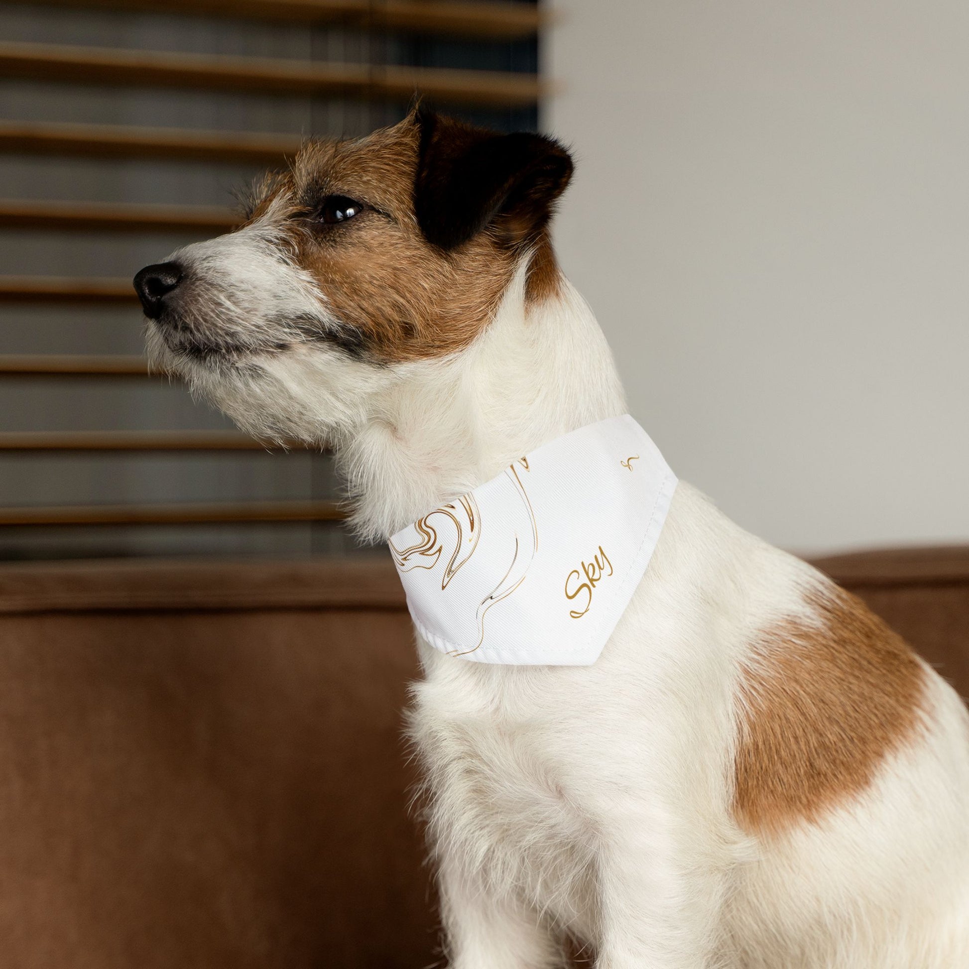 Personalized Pet Bandana Collar - Custom Name Dog Accessory for Stylish Pets - Vitalis Collection