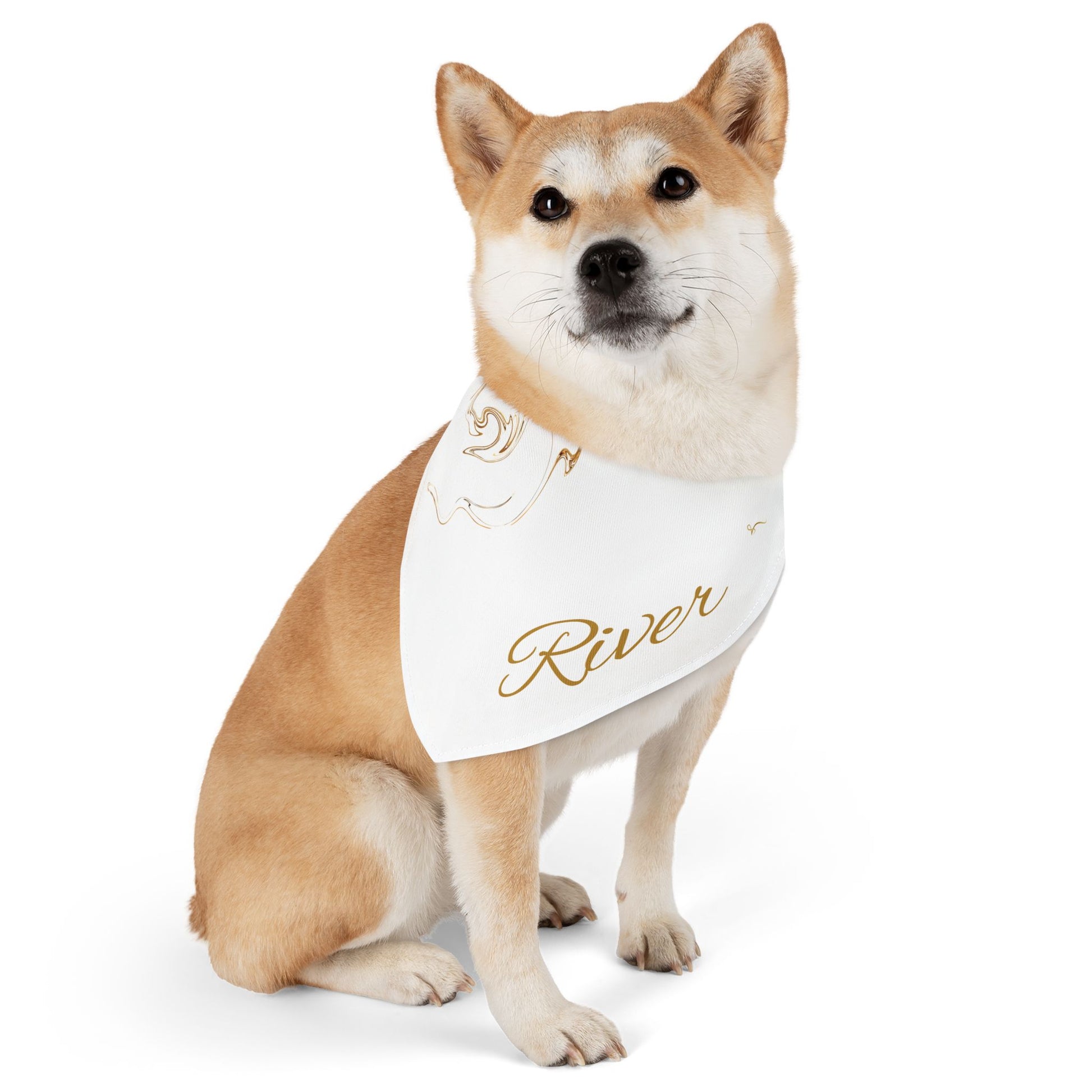 Personalized Pet Bandana Collar - Custom Name Dog Accessory for Stylish Pets - Vitalis Collection