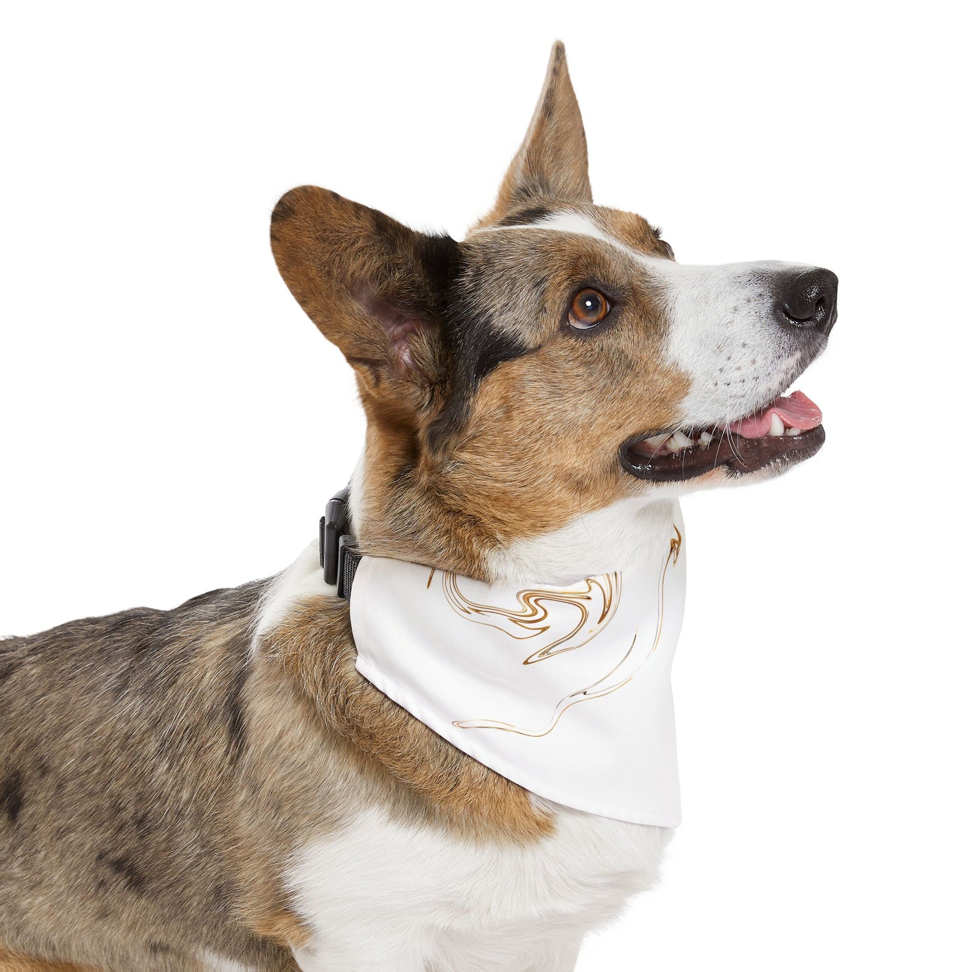 Personalized Pet Bandana Collar - Custom Name Dog Accessory for Stylish Pets - Vitalis Collection