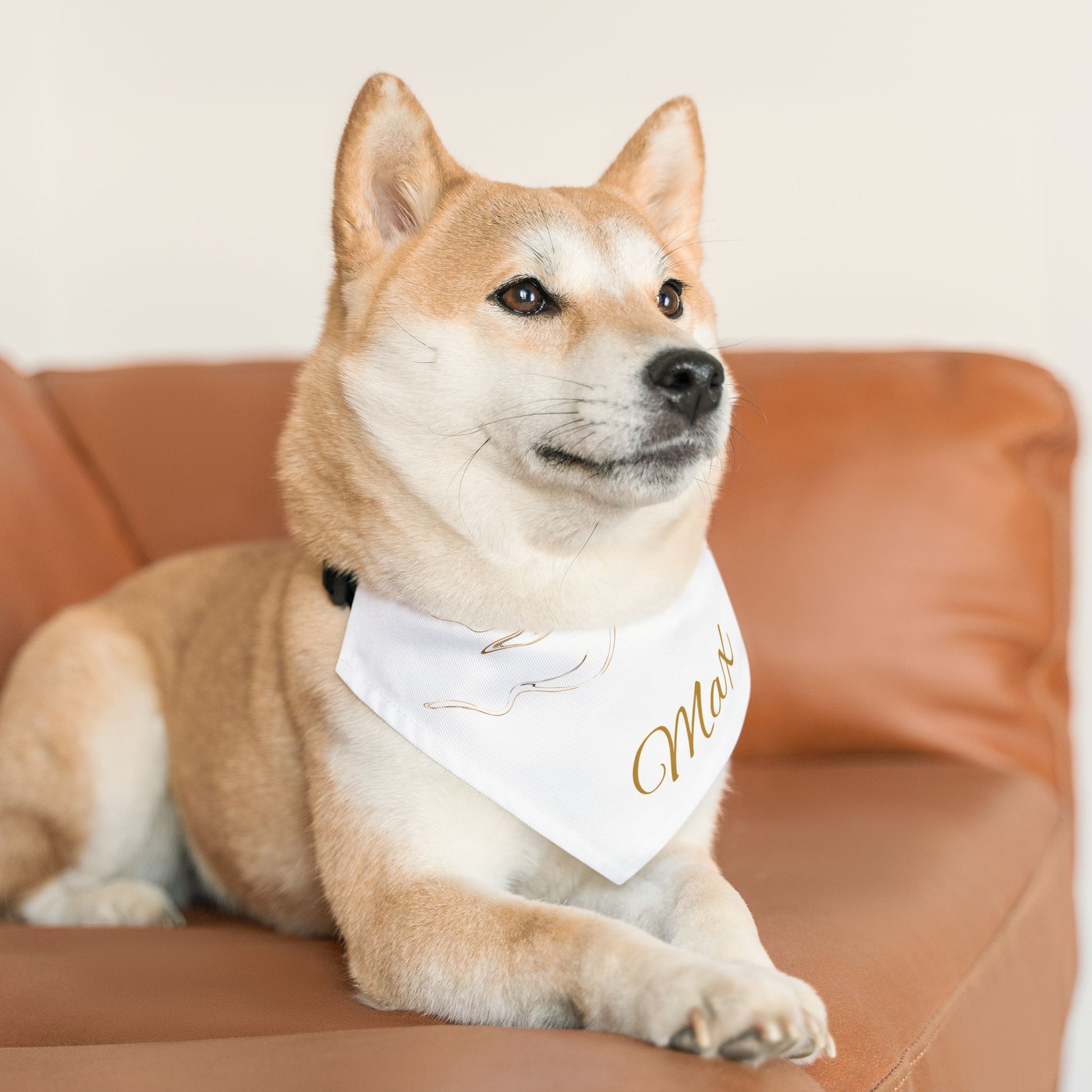Personalized Pet Bandana Collar - Custom Name Dog Accessory for Stylish Pets - Vitalis Collection