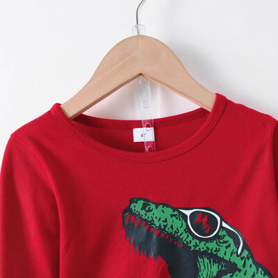 Dinosaur Round Neck Long Sleeve Top and Distressed Pants Set - Vitalis Collection